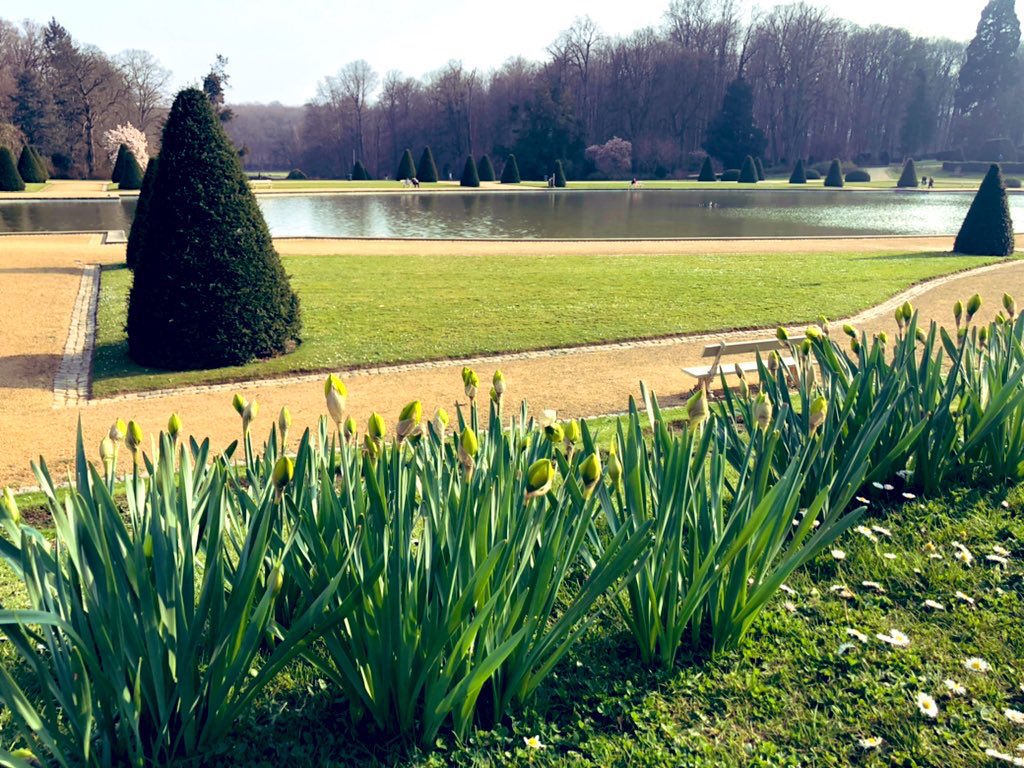 Esther O'Connor tweet media