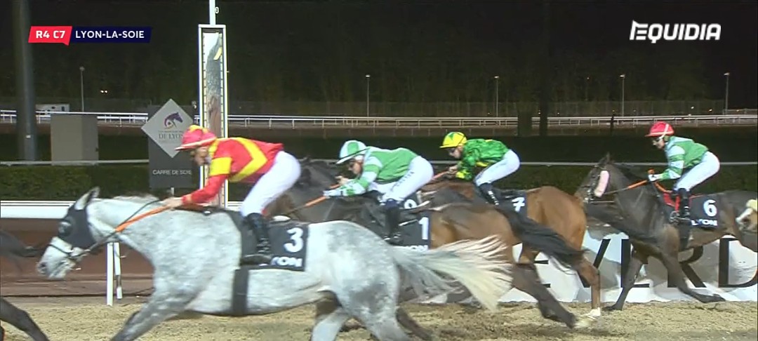 NicBellanger's tweet photo. 24/03/3022 🥈 Notre brave SIMFAUST récolte une seconde place sur la psf de La Soie @LyonHippodromes
#ecuriebellanger #simfaust https://t.co/Scig1BDQVP