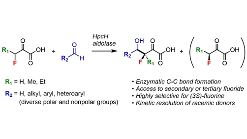 Angewandte Chemie tweet media