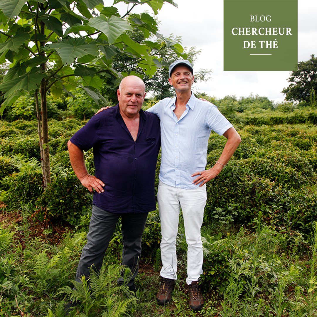 Cette semaine, découvrez un message particulièrement touchant que François-Xavier Delmas a reçu de la part de l’un de nos amis producteur.  bit.ly/3Niyuuz

#chercheurdethe #fxdelmas #palaisdesthes #thé #blog #Georgie #travelblog