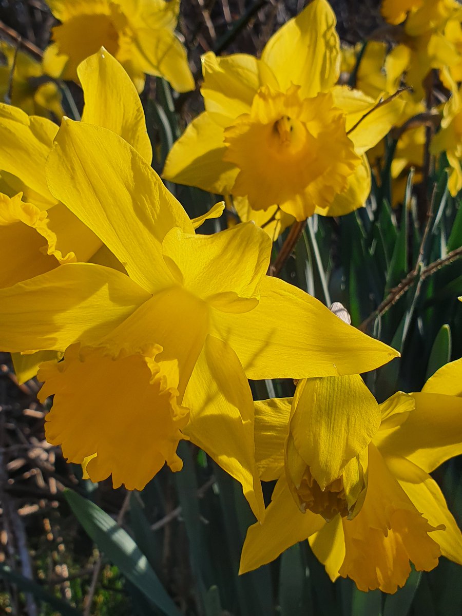 With a head so full of heavy thoughts and sense of duty &amp; responsibility, I was forgetting to pause and feel the poignancy in these precious, fragile moments. With love.