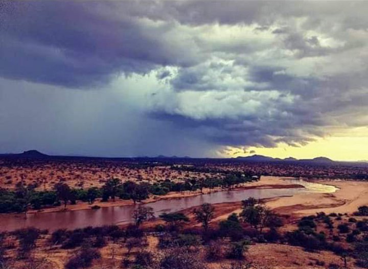 The Savanna roaring back to life. We thank God for the rains.