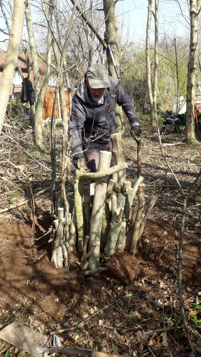 Great work this week by the volunteer team. They worked with staff to create a stumpery to help support insects. Come and join us and improve local biodiversity in Connah's Quay <a href="/DeesideDotCom/">DEESIDE.com</a> <a href="/FCCcountryside/">Cefn Gwlad SyF - FCC Countryside</a>