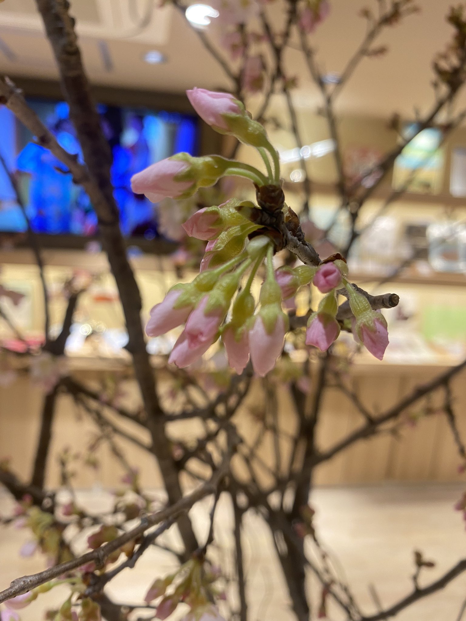 Florist花秀 Hanahide Com Twitter