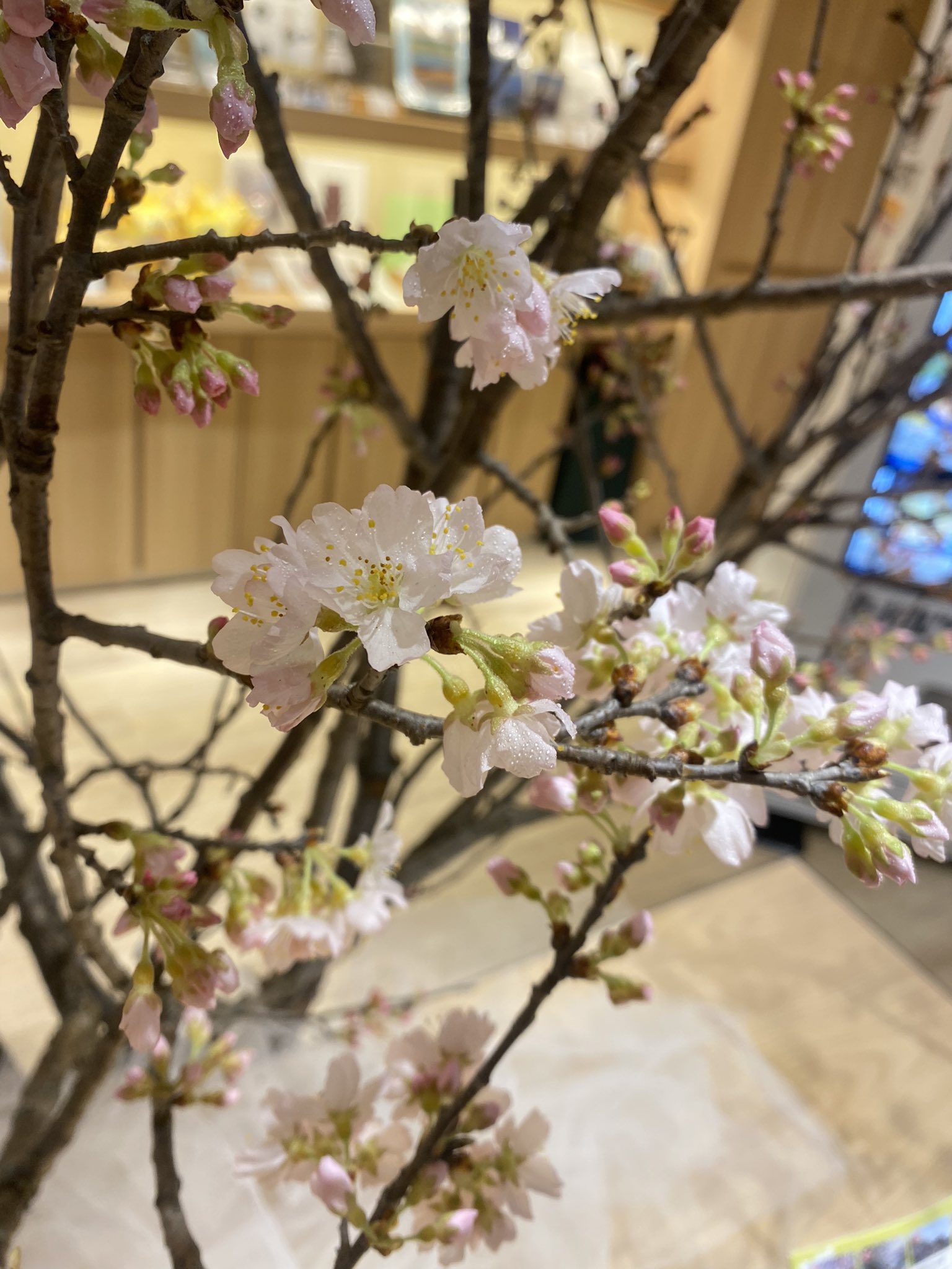 Florist花秀 Hanahide Com Twitter