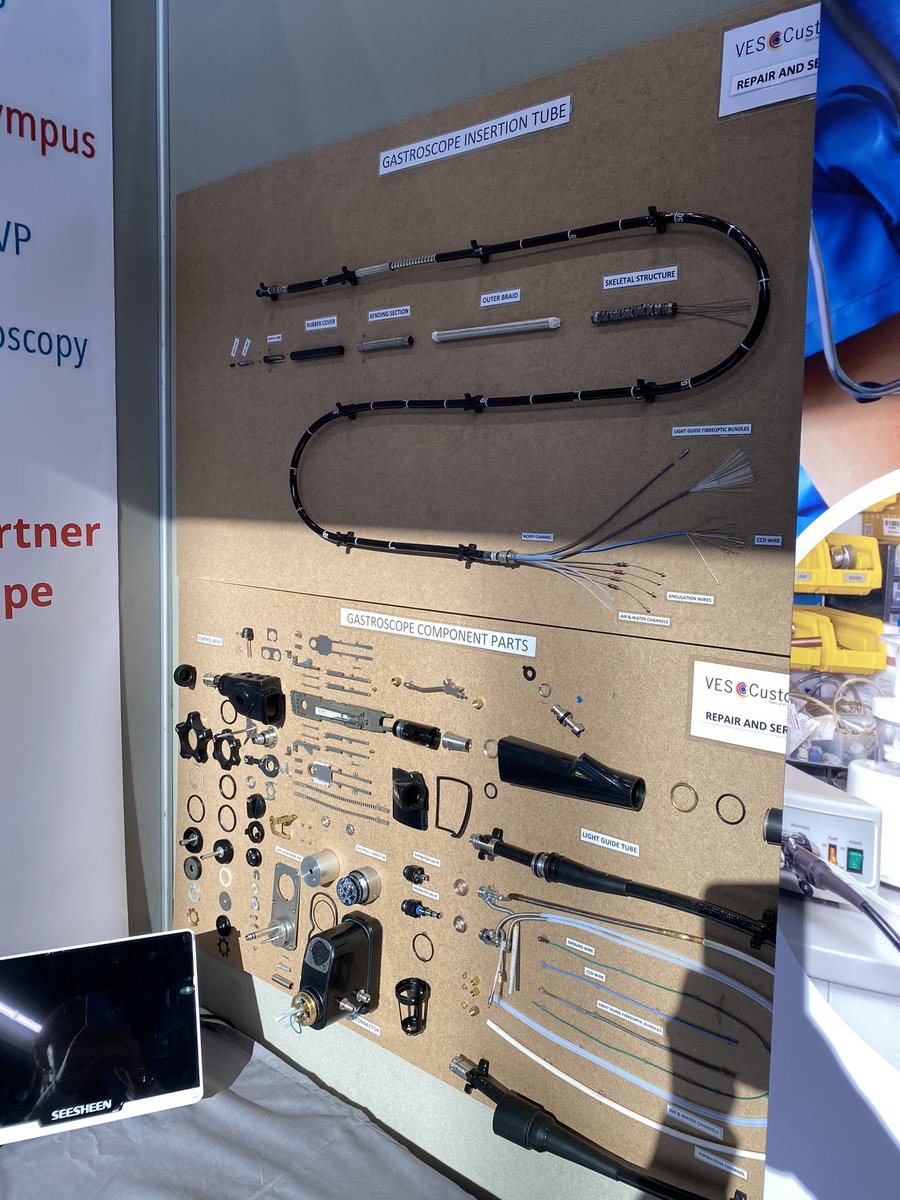 VESCustomOptics's tweet photo. BSAVA Day 2! ⭐️
Got any servicing and repair questions? Why not drop by stand E106 and chat to our expert team 😊 https://t.co/ysiRMMweIn