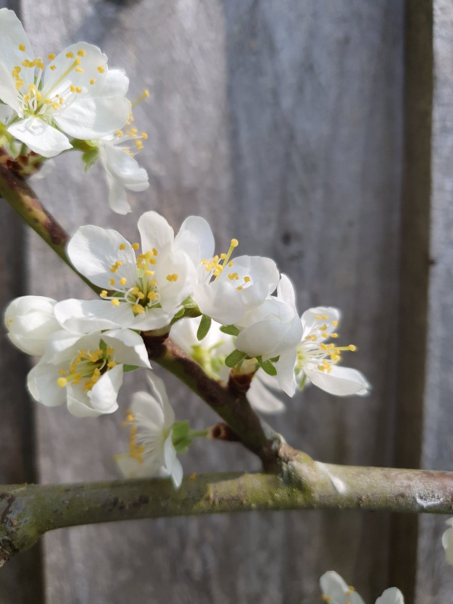 It feels like spring.....enjoy the weekend when you get there
