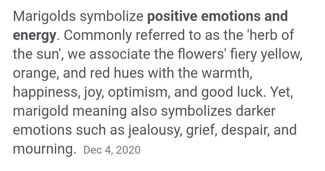 #YouAreHome I think the flowers are marigolds...