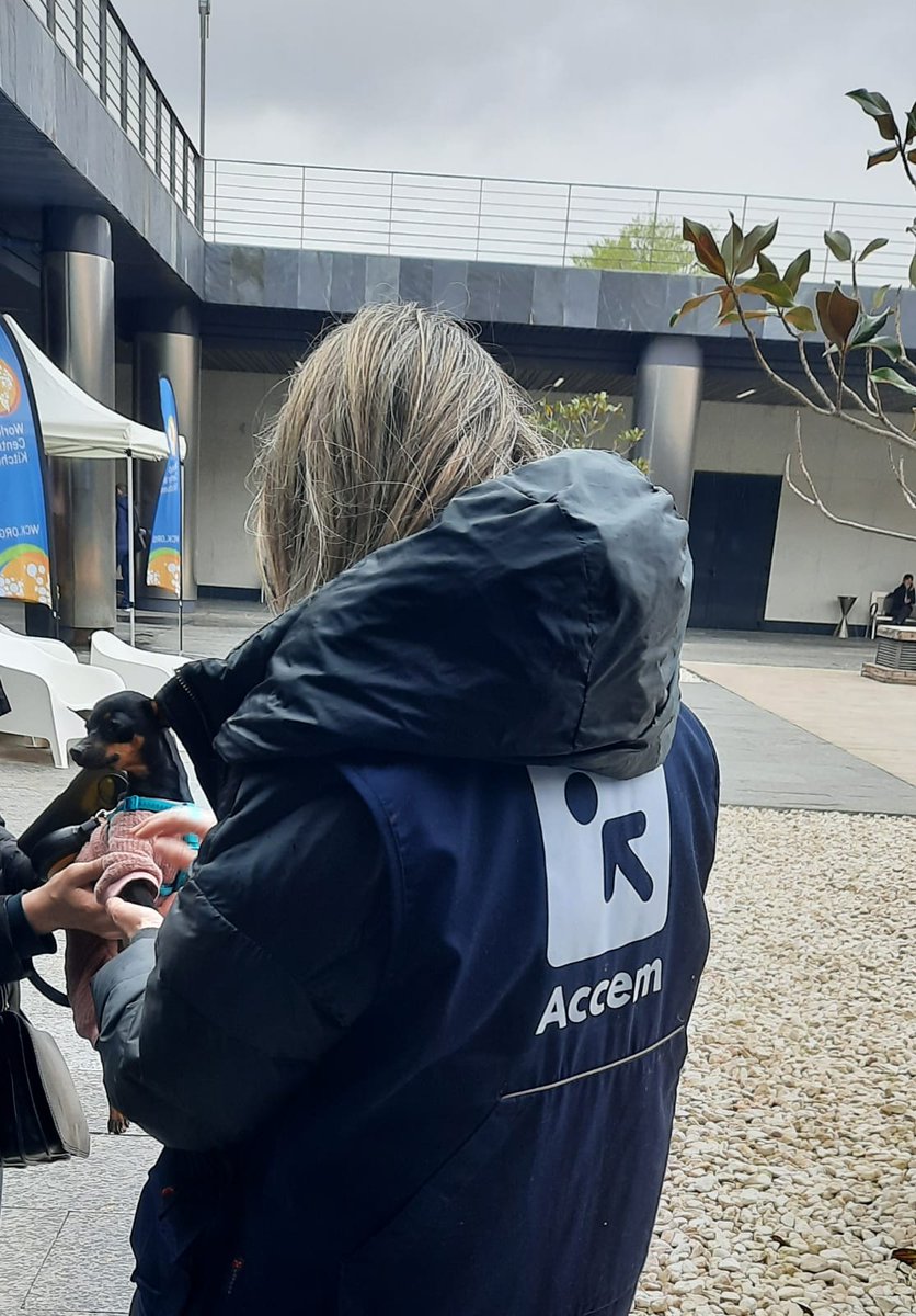 En el centro de #Pozuelo encuentran acogida y atención las familias enteras que llegan desde #Ucrania: personas adultas, menores y #mascotas 😻🐶 ¡Todos son bienvenidos!
#ConLxsRefugiadxs #EmergenciaUcrania