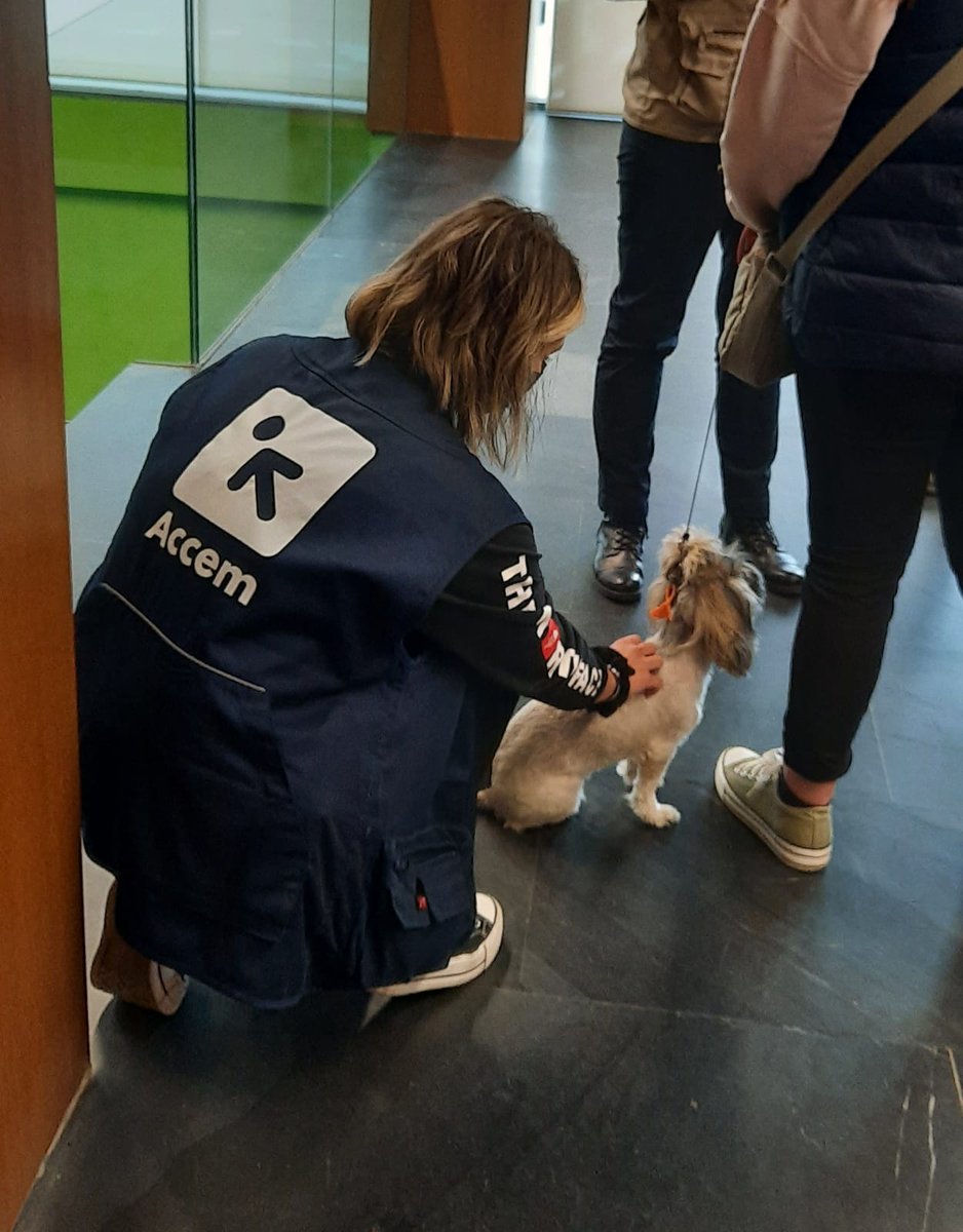 Accem_ong's tweet photo. En el centro de #Pozuelo encuentran acogida y atención las familias enteras que llegan desde #Ucrania: personas adultas, menores y #mascotas 😻🐶 ¡Todos son bienvenidos!
#ConLxsRefugiadxs #EmergenciaUcrania https://t.co/rC2RbwvJhm