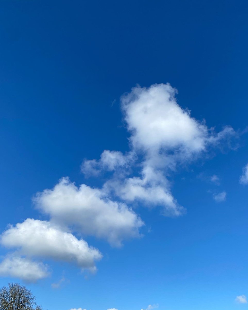 Turning your thermostat down one degree will save about 10% of your energy usage!