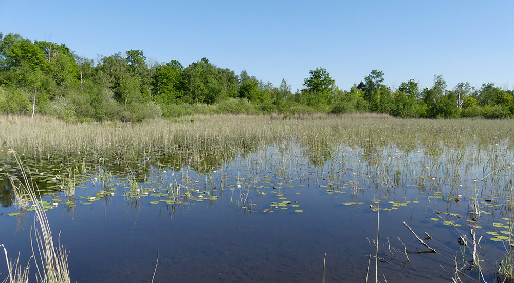 🌱🆓 N'oubliez pas à vous inscrire à cette sortie nature organisée par le <a href="/CENHDF/">CEN_Hautsdefrance</a> à Pierrepont, c'est pile dans 3⃣ semaines et il reste des places ! tourisme-paysdelaon.com/Accueil/A-fair… 

Crédit 📷 G. GAUDIN