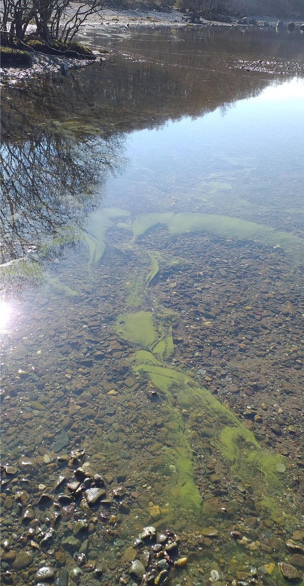 Loch Lomond & The Trossachs tweet media