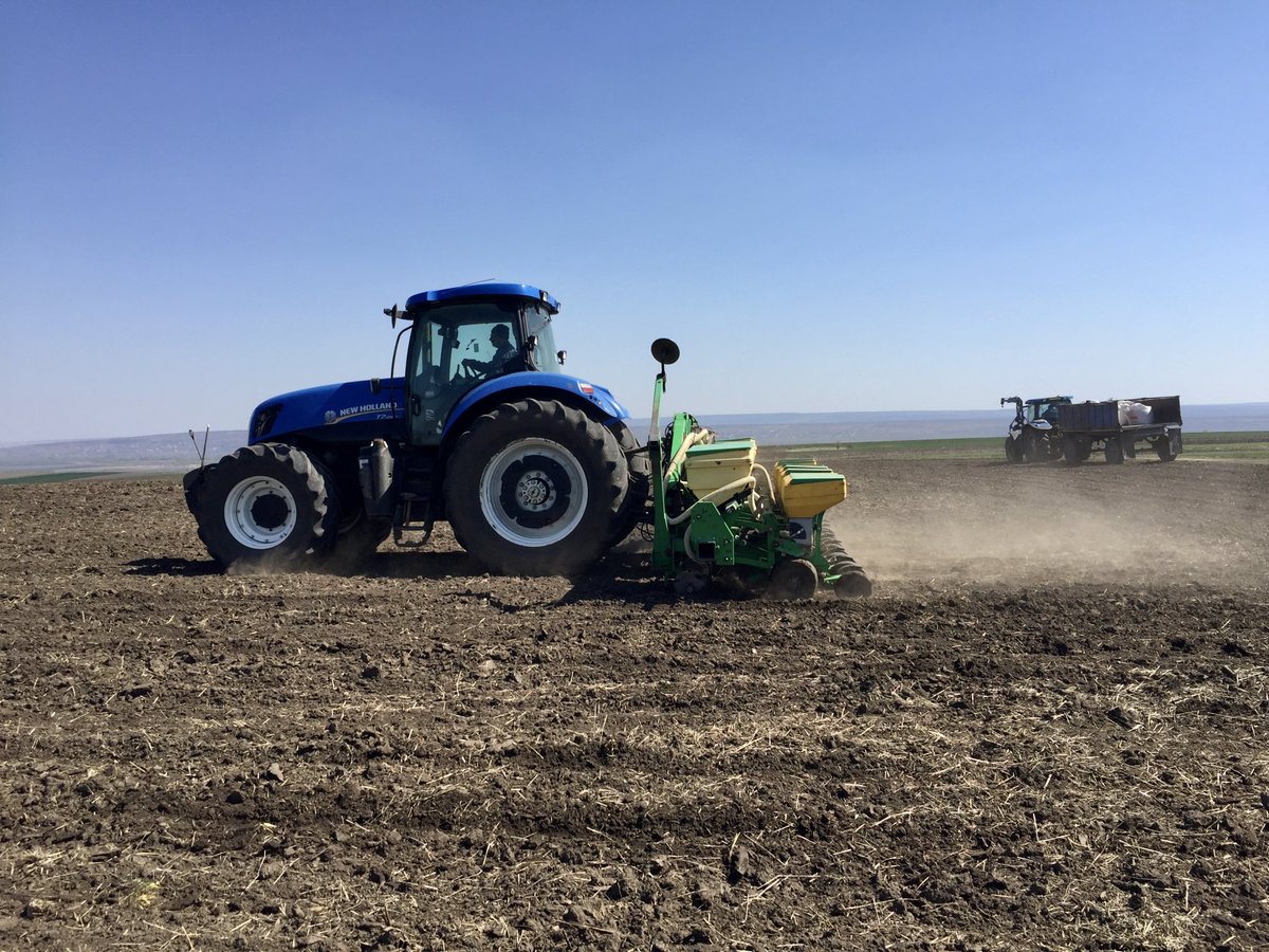 Ukraine's Ministry of Agriculture reports 150,000 hectares of spring crops have been sown.