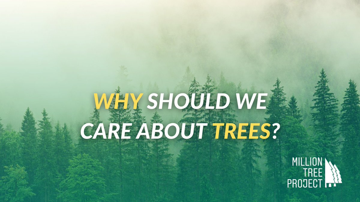 Million Tree Project tweet media