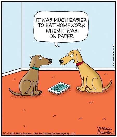 We had an incident this week regarding dogs and homework…
Bad doggie!