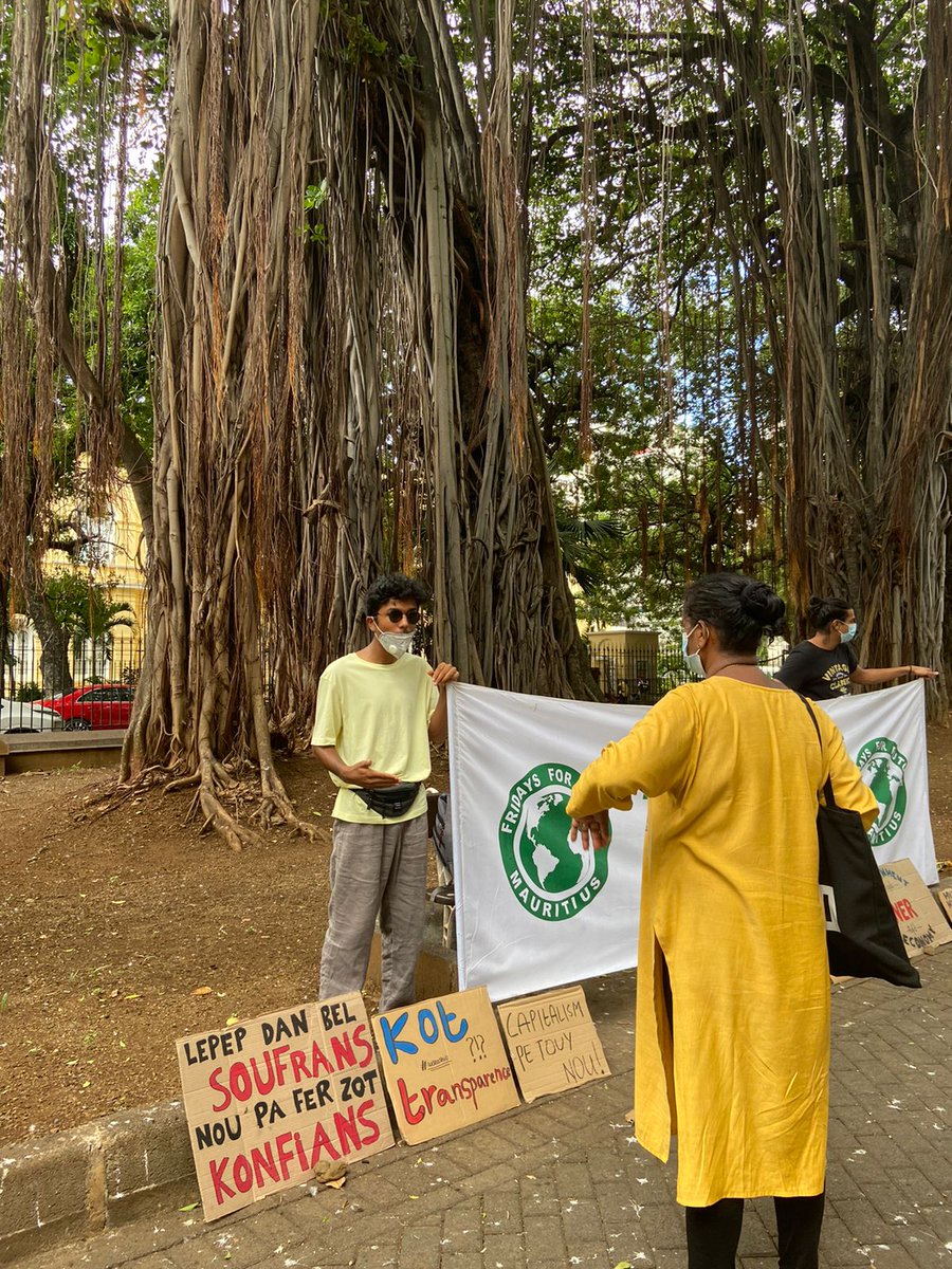 Fridays For Future MAPA tweet media