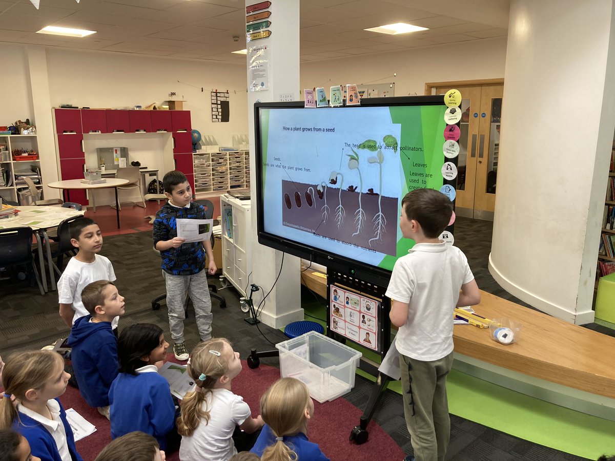 Y3WFA's tweet photo. We’ve been making presentations to help us answer our current key question; how do plants survive? Today, we presented our knowledge to @WFAYear6 who have also been exploring plants. #oracy #wfacomputerscientists #wfascientists @Wallscourt @Cabotfederation https://t.co/S0fNGZ1Itm