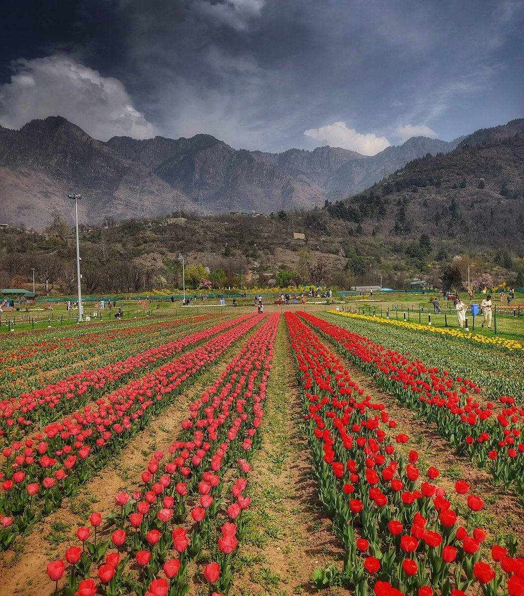 Mirza_HA's tweet photo. Kashmir from my lens! 
Beauty of jannat-E-kashmir❤
Come and enjoy😍
#Kashmir https://t.co/JJ1ReUfTcI