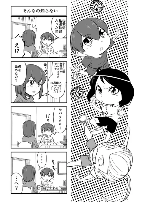 「セパタクローとは?」 #21 閑話四コマ#セパタクロー#創作漫画 #オリジナル 