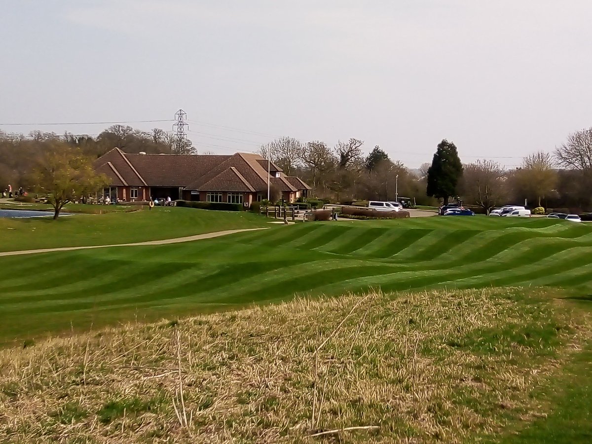 Steve lewis tweet media