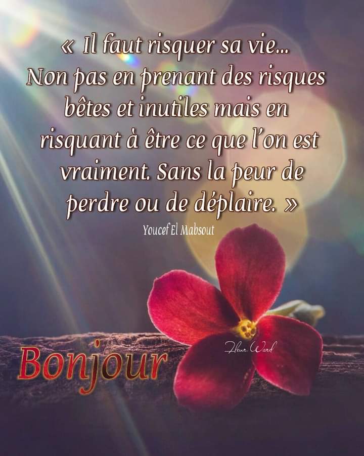 تويتر Babette Mathieu Babettemathieu1 تويتر Babette Mathieu Babettemathieu1