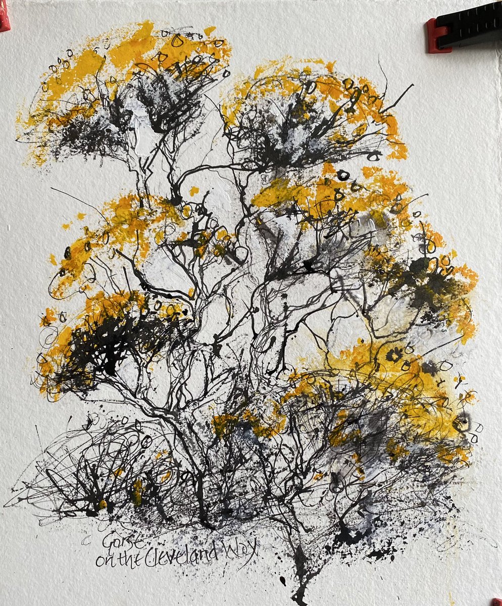 staithesartist's tweet photo. Sorting out #Staithes sketches #Gorse #Furze on the #ClevelandWay Can’t decide if I should add the brilliant blue sky https://t.co/hPWVfEKQ1C