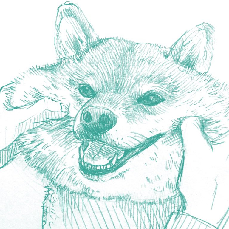 過去絵ですが、柴犬ならめっちゃ描いてました。 