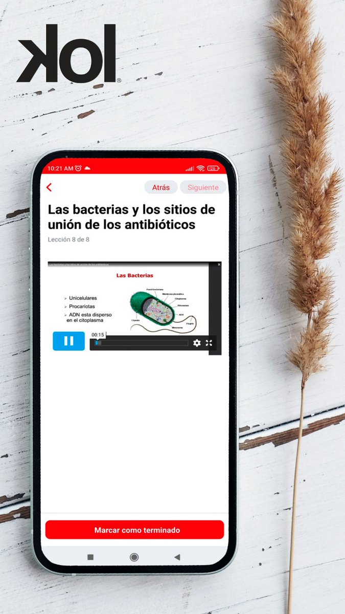 kolinteractive's tweet photo. APP móvil única e integrada al Campus de cada cliente!!! 
Lo que les permitirá contar con un repositorio unificado de contenidos y actividades de #capacitación y #comunicación. https://t.co/PZZqPbDJDj