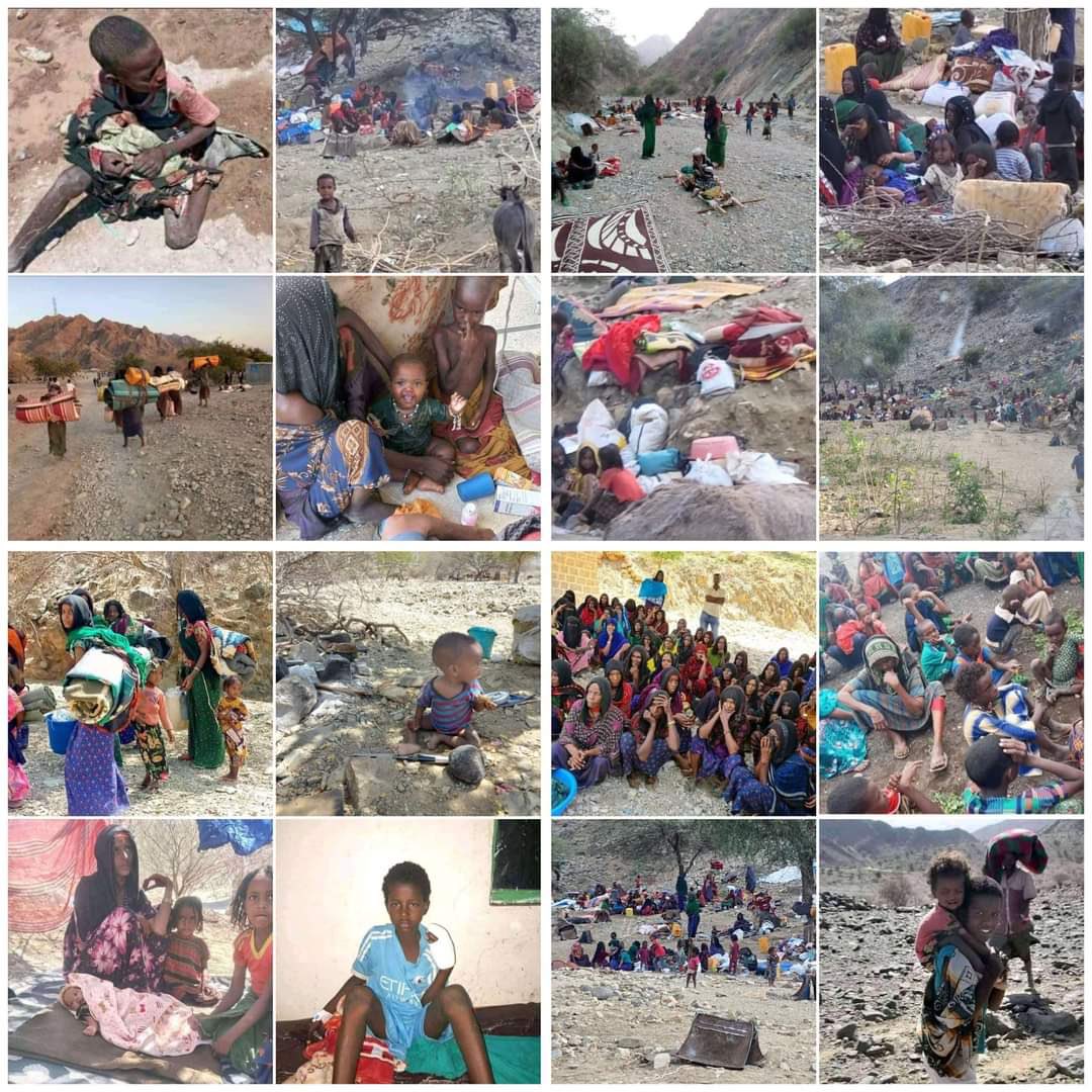 MeronRoberts's tweet photo. @iyoba4u We the Afar people support HR6600. https://t.co/0riVskwRKC