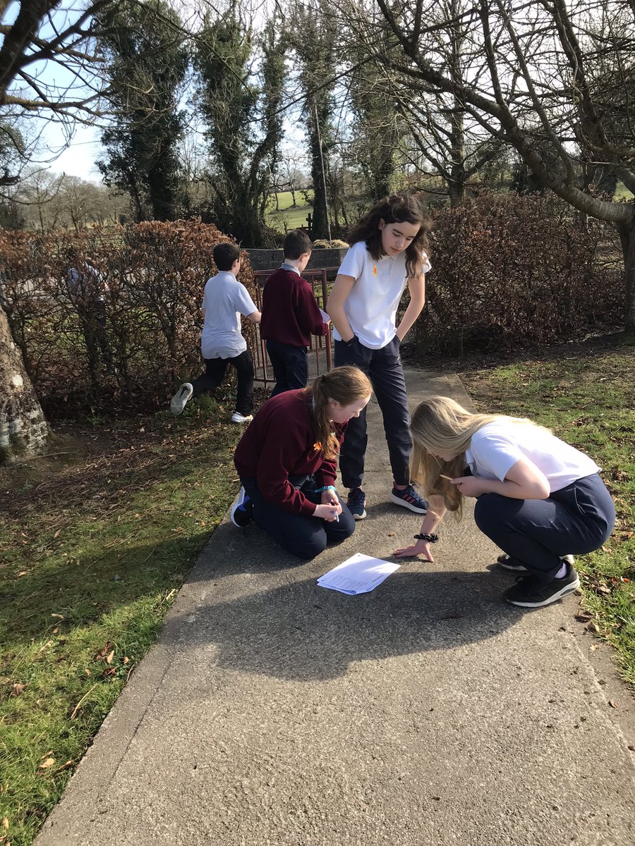 Glinsk_NS's tweet image. Nature hunt to find our native trees @GreenSchoolsIre #treeweek #inthewoods #amongthetrees @AnTaisce #NationalTreeWeek