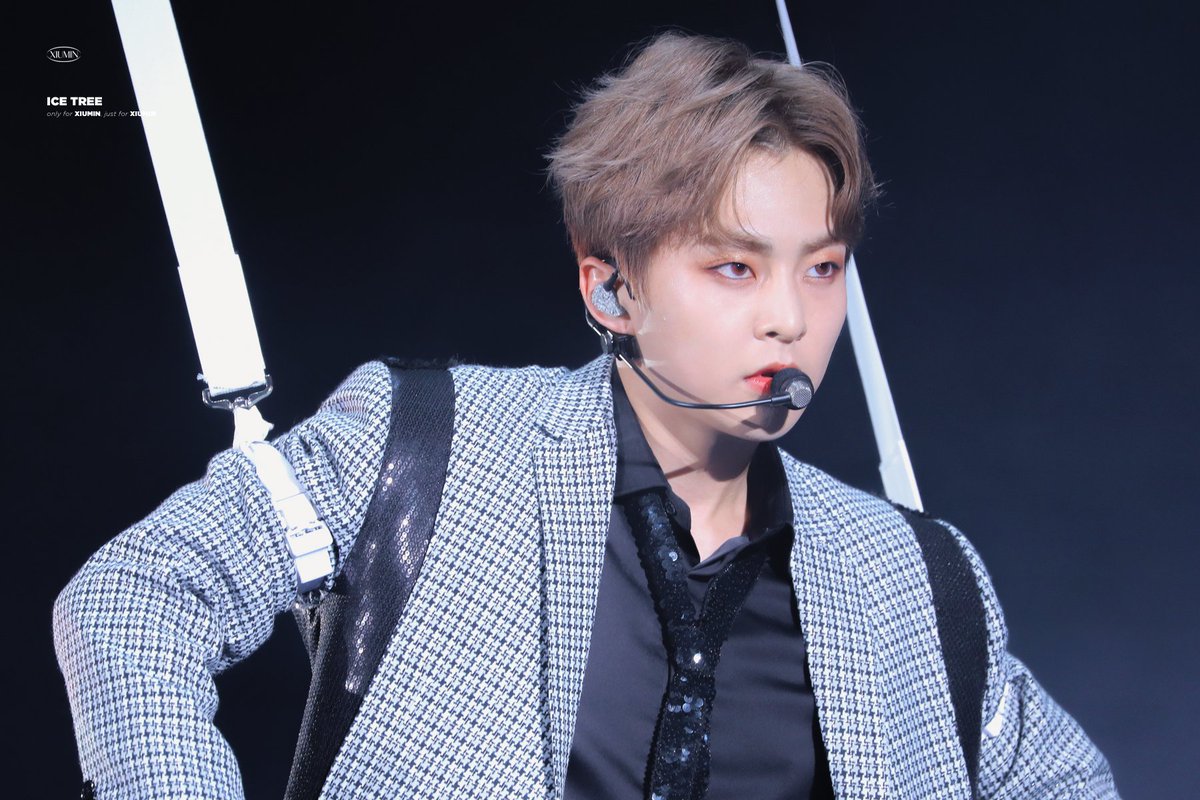 얼음나무 / ICE TREE 🦋 tweet media