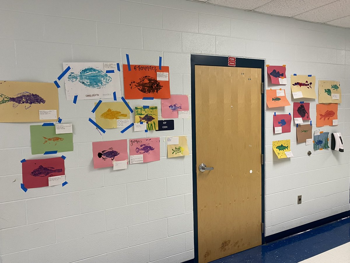 Come see what’s up with the science department! The hallways are alive with learning! @geriberger08 <a href="/JamieKollmann/">Jamie Kollmann</a>