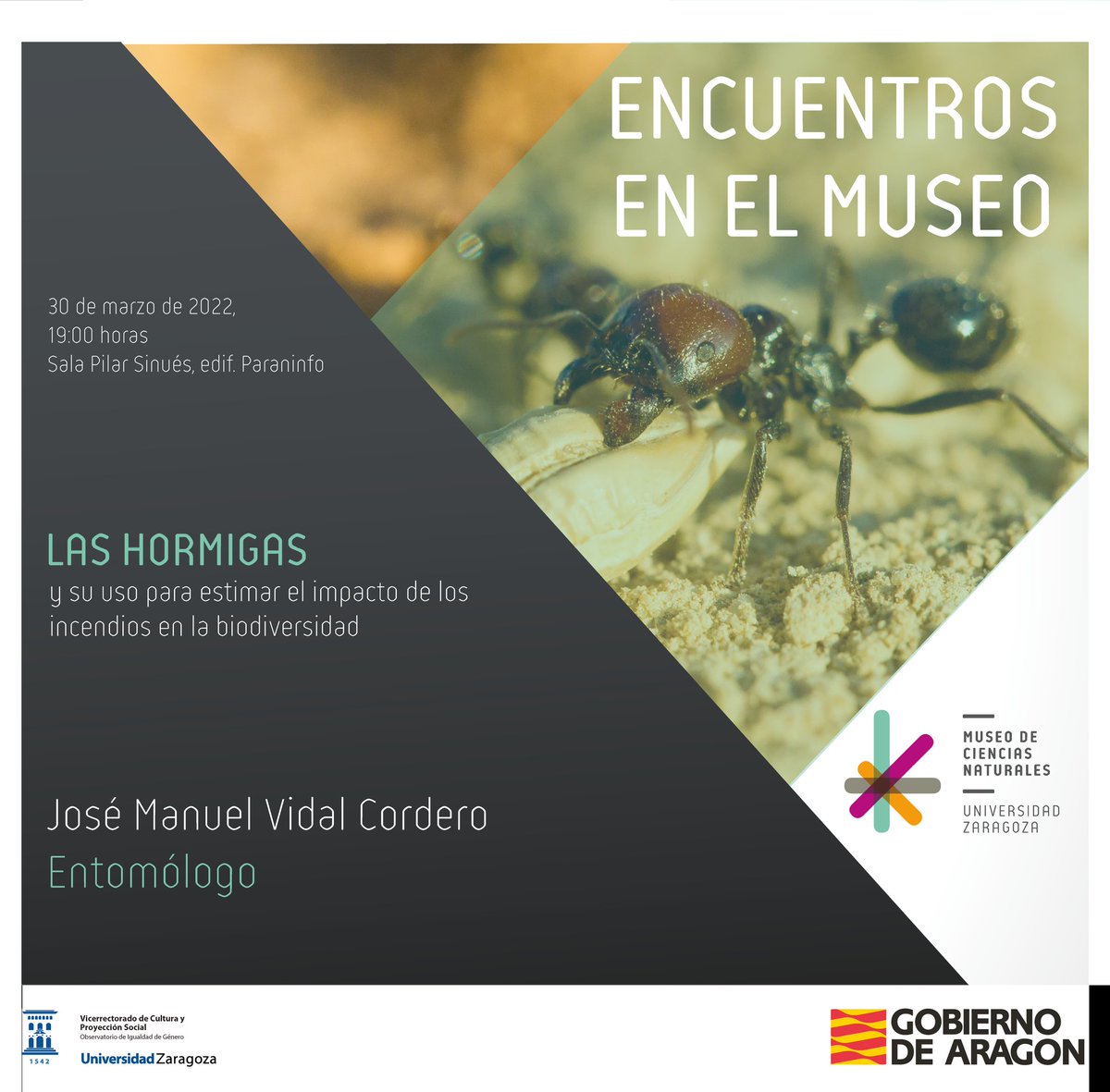 jmvidalcordero's tweet photo. Antes de desearte un feliz fin de semana quería recordarte que el miércoles que viene 30/03 estaré en el Museo de Ciencias Naturales de la Universidad de Zaragoza @museonat para hablaros de #hormigas y de por qué puede ser importante estudiar el efecto del #fuego 🔥 sobre ellas. https://t.co/6WlPHAmbsQ