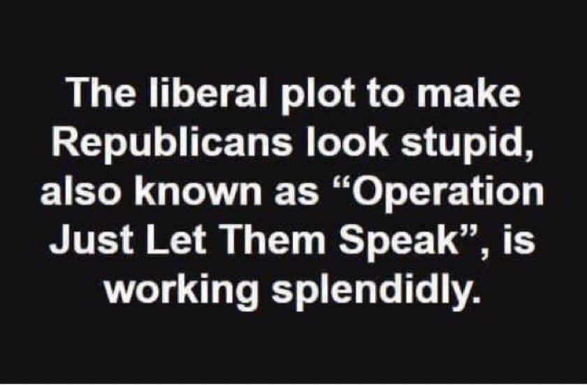 SalvaDolly's tweet image. 