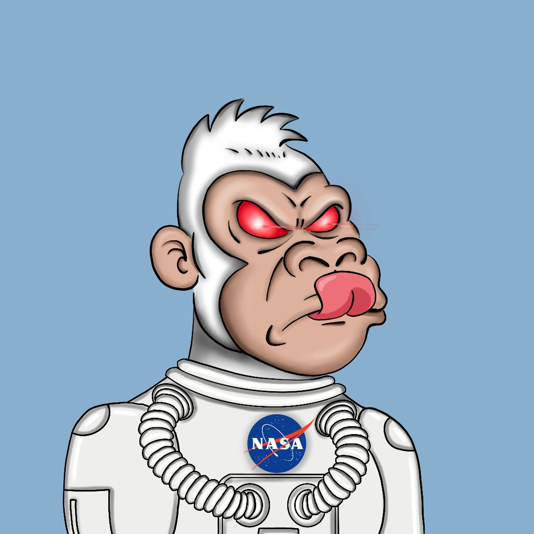 Space Kongs tweet media