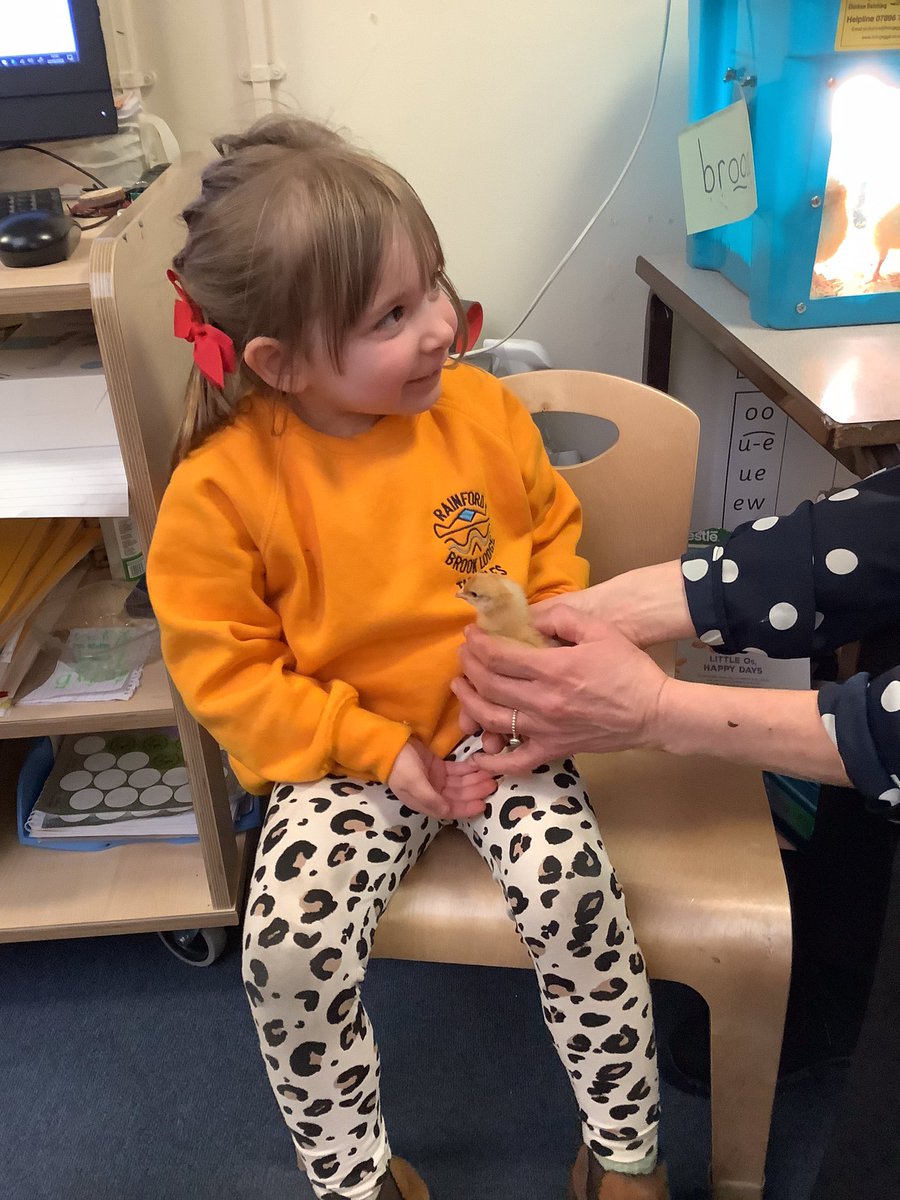 MuganRBL's tweet photo. This week we have been reading, ‘Hoot owl, master of disguise’. We made our own pizzas and enjoyed looking at how much the chicks have grown. We also loved time outside in the sunshine. #RBL #EYFS https://t.co/M5mJ8bYKOr