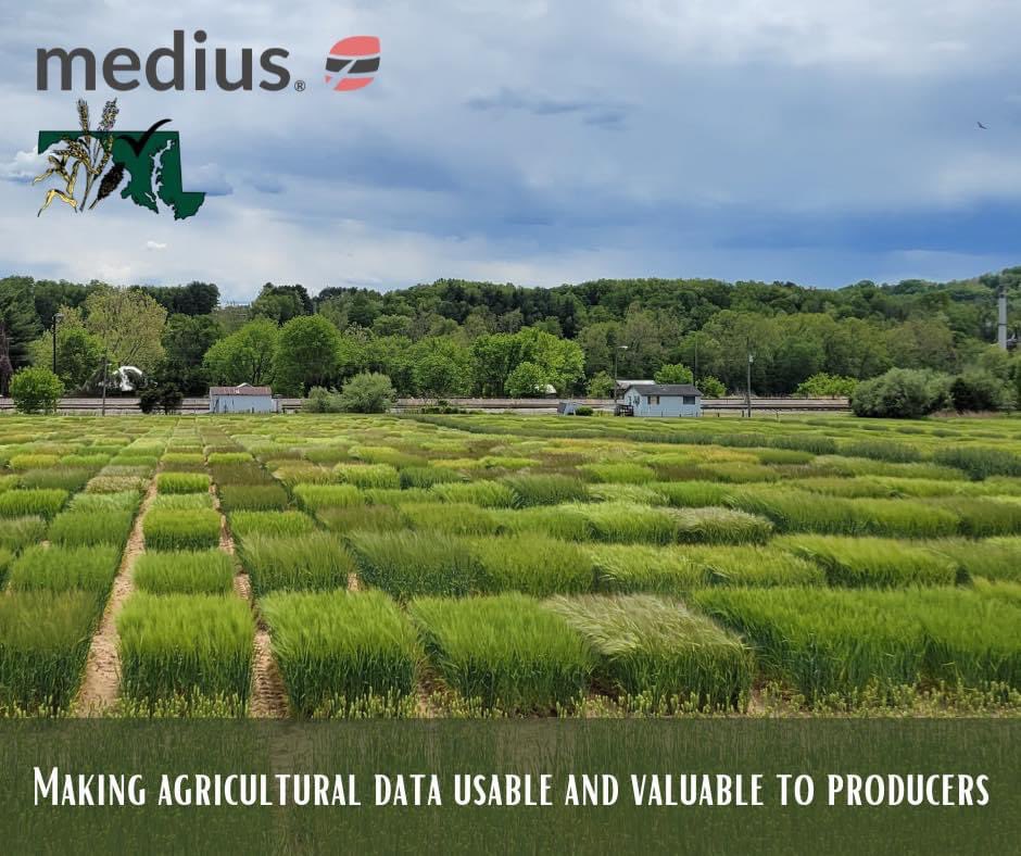 MGPUB has funded a new platform – <a href="/mediusag/">medius</a> – to allow producers to maximize their checkoff dollars by having the ability to analyze variety trial data for corn, wheat, and barley across time and space with their own customized criteria.

#MDGrain #MediusAg #UseableData