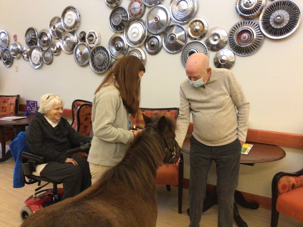 WellbrookeK's tweet photo. Our Special Visitor Astro
Thank you Cheryl,Greg and Erin Ulery https://t.co/7jwt1gkiMn