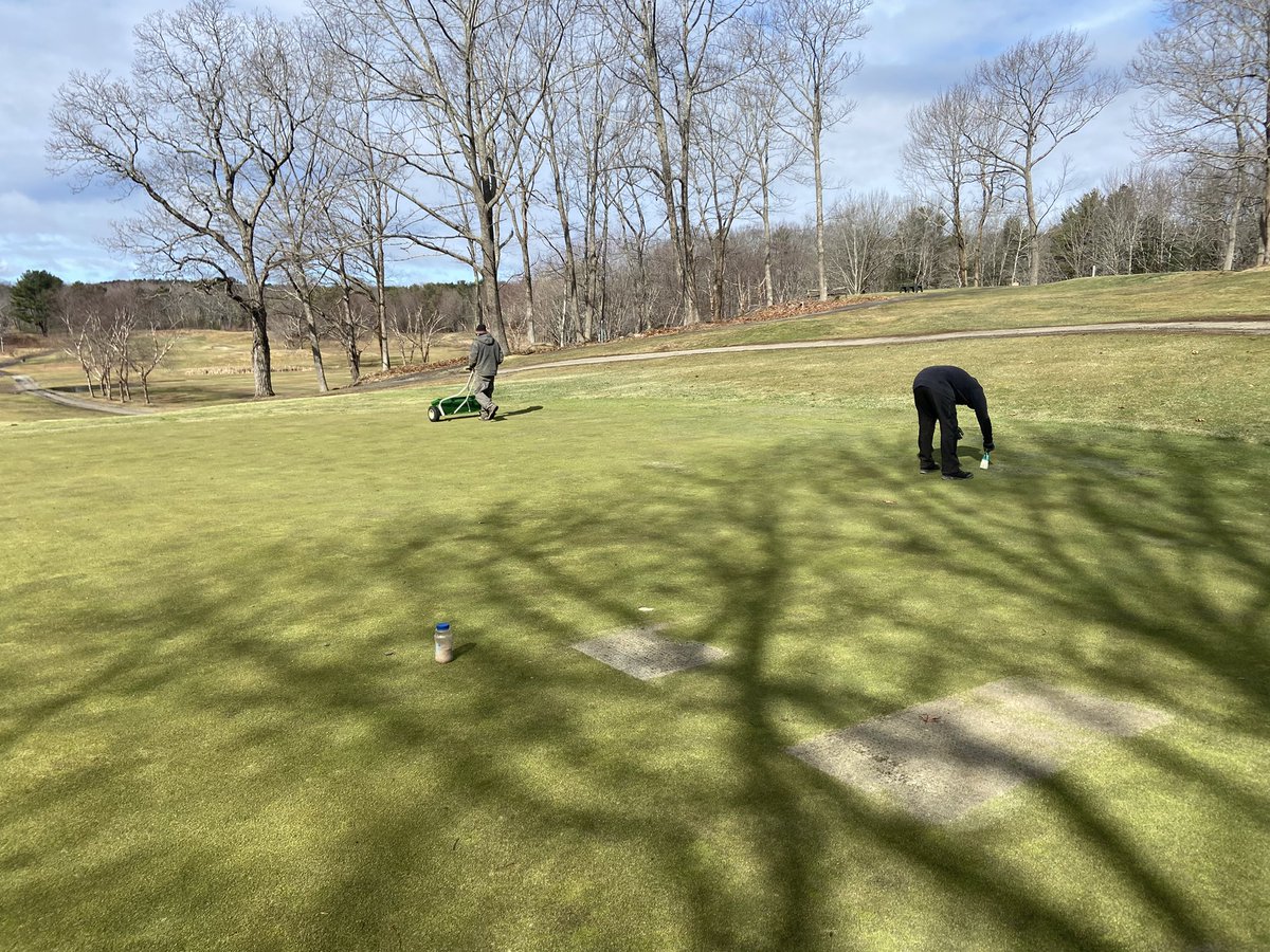 supercncc's tweet image. Making small green houses on troubled spots on greens. Spike, seed, sand and cover w 4mil plastic. The plastic came from the front yard ice rink at home