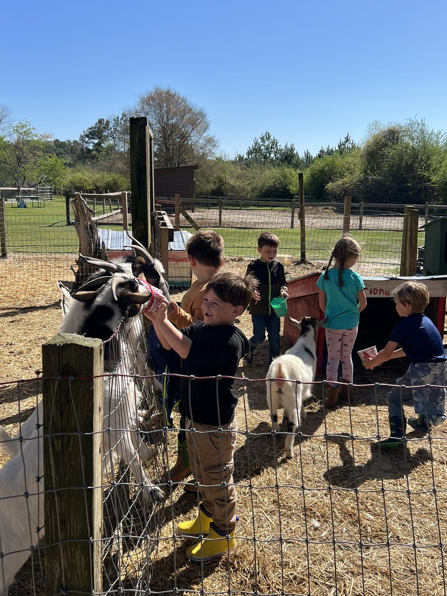 jmccroskeycb's tweet photo. Amazing day on the farm @CBElementary #cbseastars #kindergarten https://t.co/cflMF8jQ8y