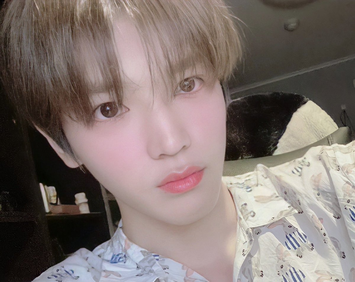 tyongbu🎀 tweet media