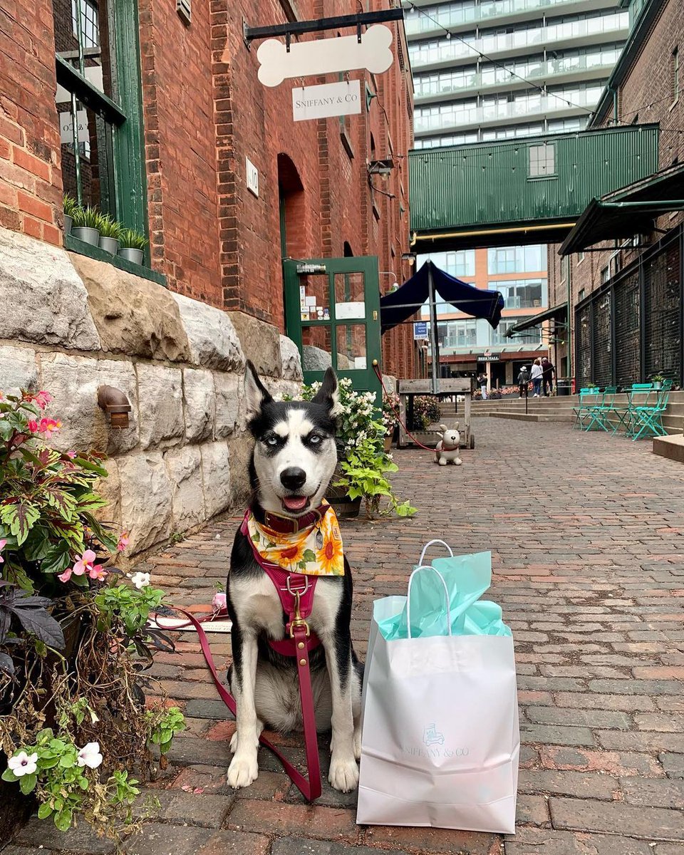 The Distillery District tweet media