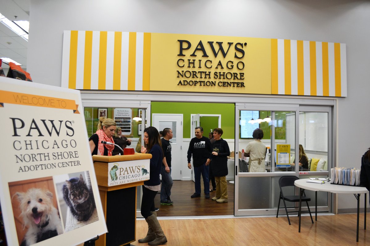 DebbieHepburn's tweet photo. PAWS is an organization that is very dear to me, and I love highlighting all of the incredible work that they do! Please consider supporting this wonderful organization or even take the time to volunteer!

#debbiehepburnpremierrealtor #atpropertieschristies #pawschicago https://t.co/kou0T1wX3L