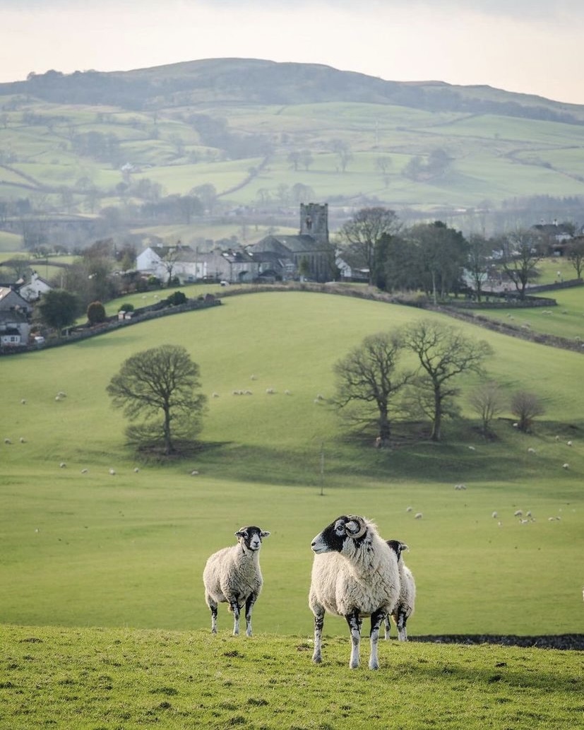 The Consumer Brand tweet media