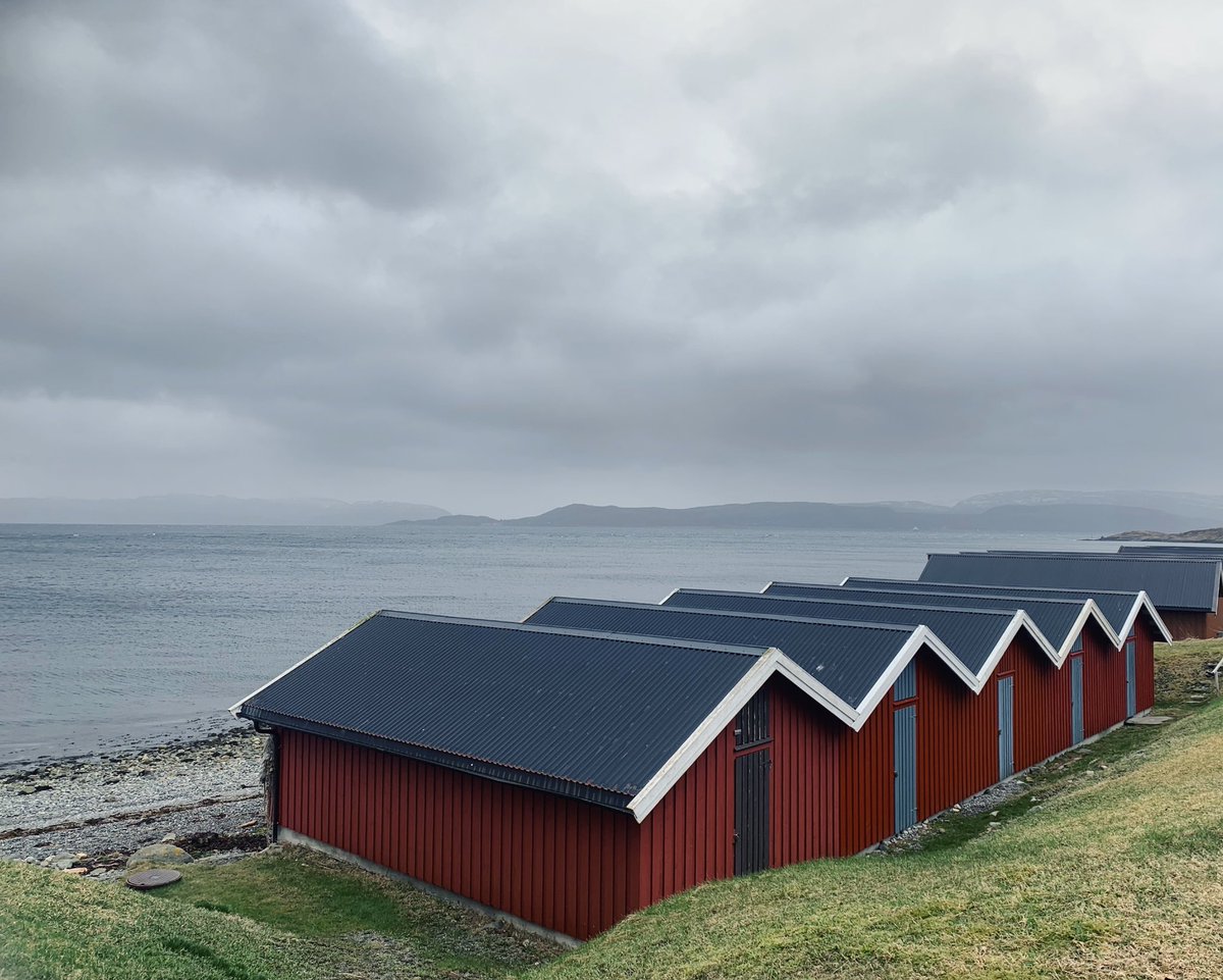 Just got back from the most wonderful “Skriveseminar” with the @NTNUiph Pathways project (ntnu.no/iph/inkluderut…). So nice to spend a few days together writing and reflecting on our work, as well as celebrating our first publication 🙌🏻 (In press, coming soon!)