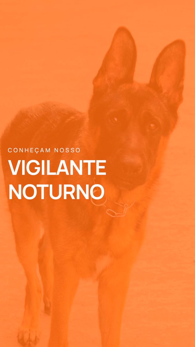 consultimer tweet picture