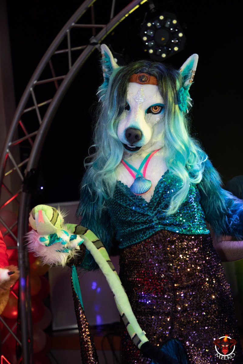 NashMerwolf's tweet photo. Dont worry about my snake. just look into my eyes and get lured as well by the waves and songs. 
Now you're charmed ~
Now you're mine ~
Now make me a dance ~ 

at #FCD3 Organised by @NormandiFurs 
📸Melko #Furry #FursuitsFriday #merwolf https://t.co/aaaq5NwQee