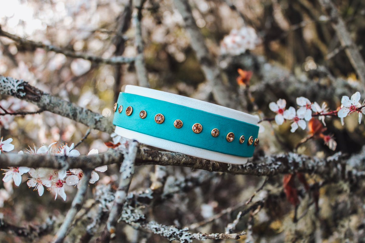 My obsession with our <a href="/wcoastcollarz/">West Coast Collarz</a> collar is unreal… 😍🙌🏼

#dogcollar #smallbusiness #dogsoftwitter #twitterdogs #dogtwitter