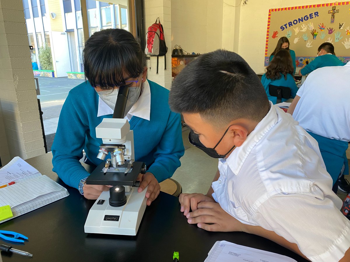 stfinnbarrsf's tweet photo. 6th grade scientists working with microscopes and learning about plant cells!

#SFBshamrocks #science #catholicedsf https://t.co/6QiFgOpEhE